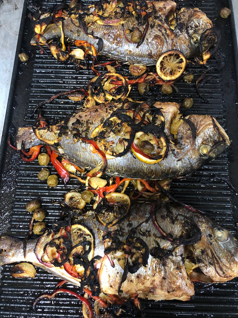 Mediterranean sea bream